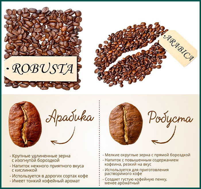 Робуста и Арабика: какая разница между сортами кофе?